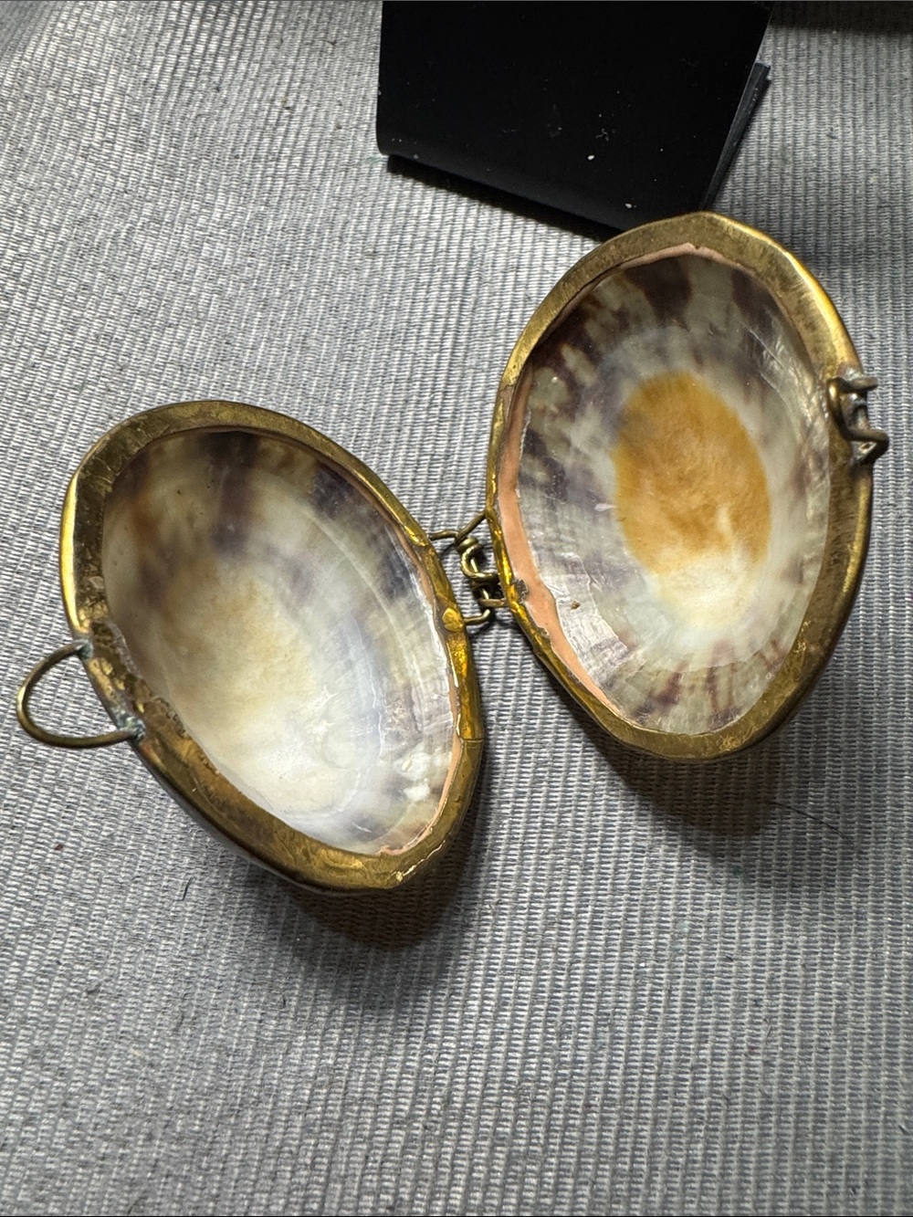 Source Unknown Brown and Cream Shell Pendant/Trinket Box - Picture 4 of 5